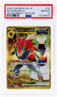 N's Zoroark Ex