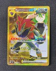 N's Zoroark Ex