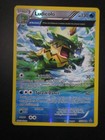 Ludicolo