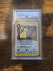 Dark Persian