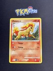 Ponyta