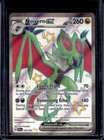Noivern ex