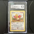 Spearow