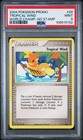 Tropical Wind