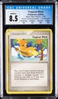 Tropical Wind