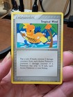 Tropical Wind