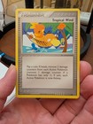 Tropical Wind