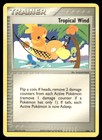 Tropical Wind