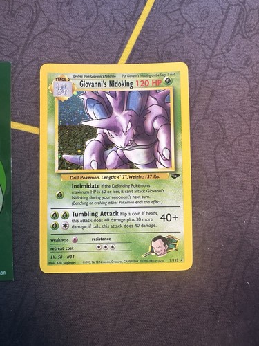 Giovanni's Nidoking