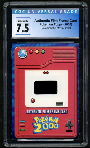 Authentic Film Frame