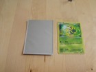 Snivy
