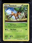 Sawsbuck