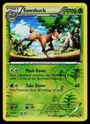 Sawsbuck