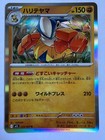 Hariyama