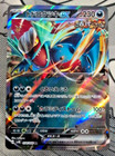 Roaring Moon ex