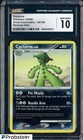 Cacturne