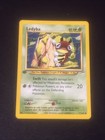 Ledyba