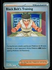 Black Belt's Training