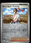 Black Belt's Training