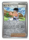 Black Belt's Training
