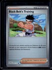 Black Belt's Training