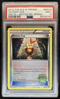 Victory Cup
