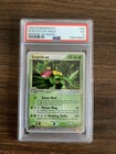 Sceptile EX