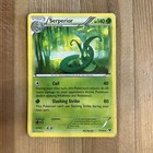 Serperior