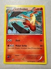 Combusken