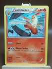 Combusken