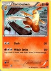 Combusken
