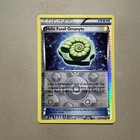 Helix Fossil Omanyte
