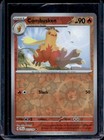 Combusken