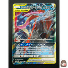 Greninja & Zoroark GX