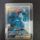 Greninja & Zoroark GX