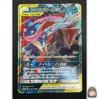 Greninja & Zoroark GX
