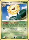 Sunflora