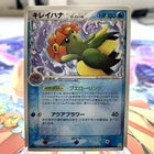 Bellossom