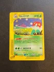 Bellossom