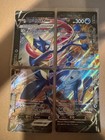 Greninja V-Union