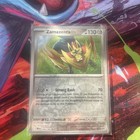 Zamazenta