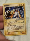 Raikou