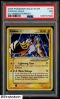 Raikou