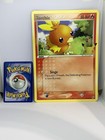 Torchic