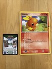 Torchic