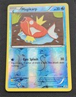 Magikarp