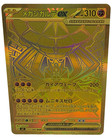 Mega Zygarde ex