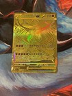 Mega Zygarde ex