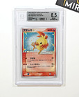 Torchic