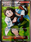 Professor Birch's Observations